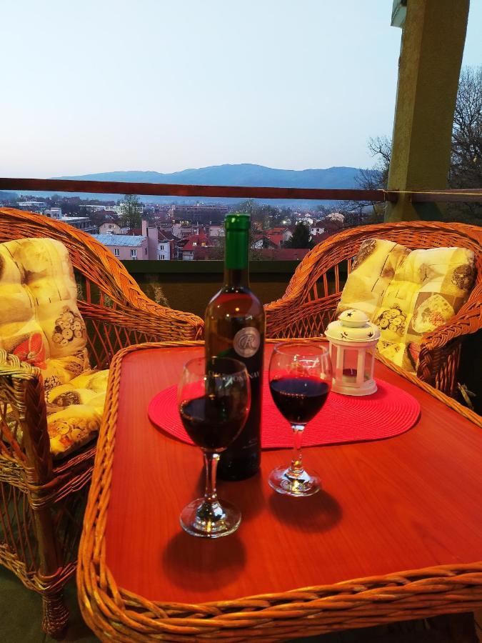 Apartman Jasmin Vrnjačka Banja 外观 照片